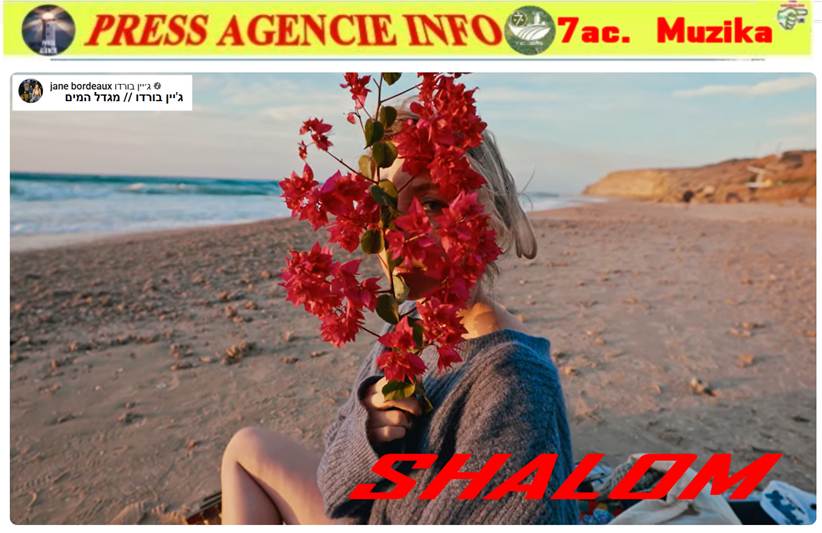 Une image contenant texte, plage, fleur, plein air
Le contenu généré par l’IA peut être incorrect.